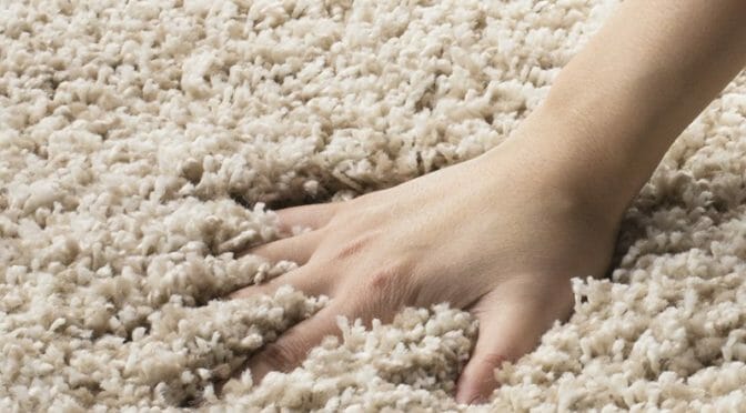 petmycarpet frieze twist carpet rug guide faq 672x372 1